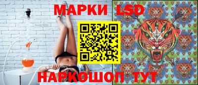 амф Кандалакша