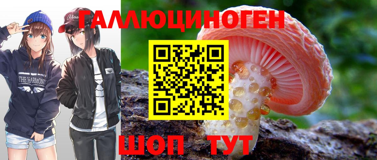 Галлюциногенные грибы MAGIC MUSHROOMS Кострома